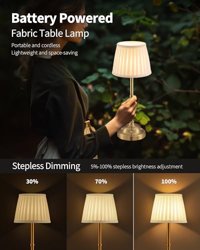 Battery Powered Light